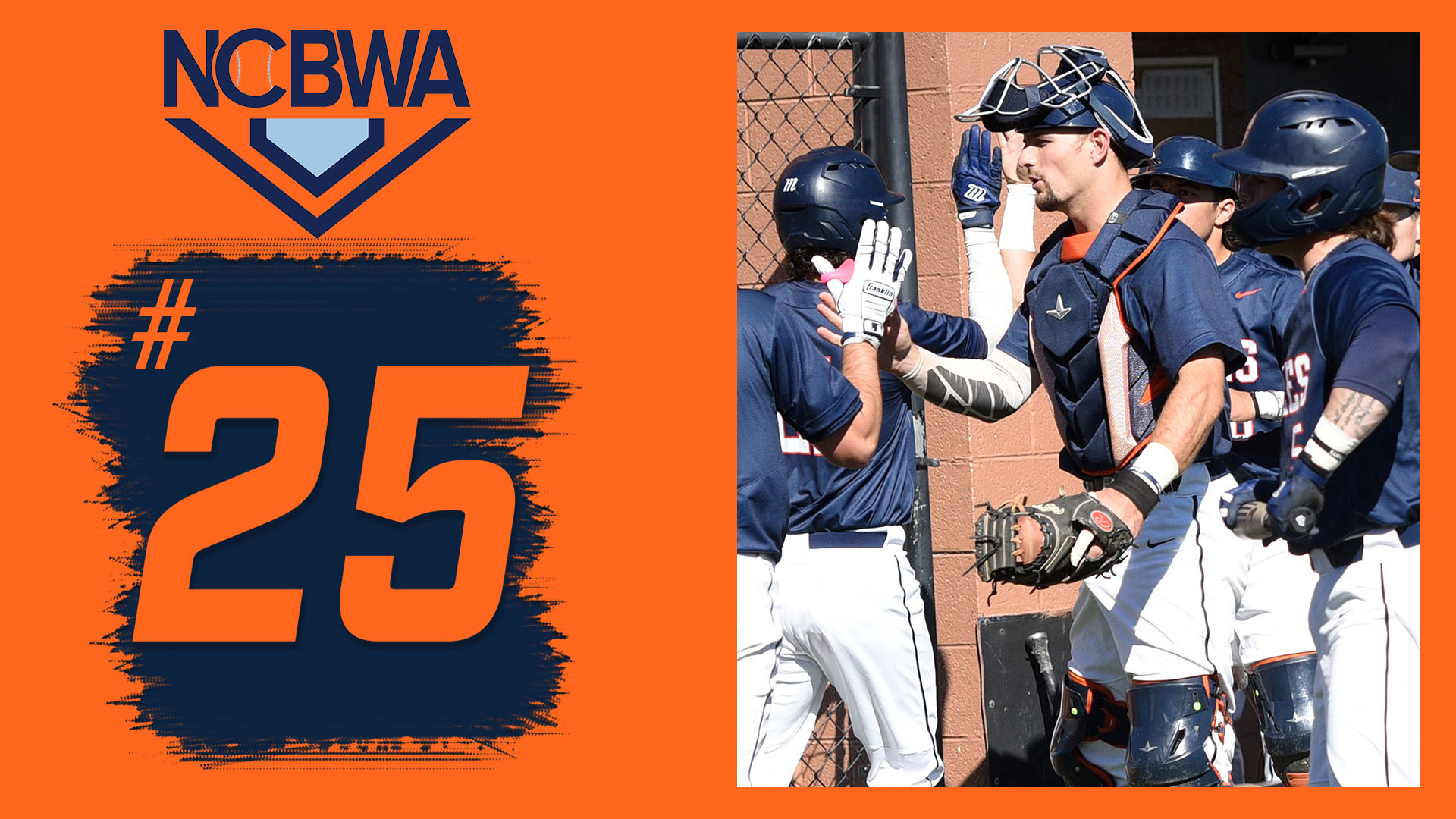 Eagles 25th in latest NCBWA poll