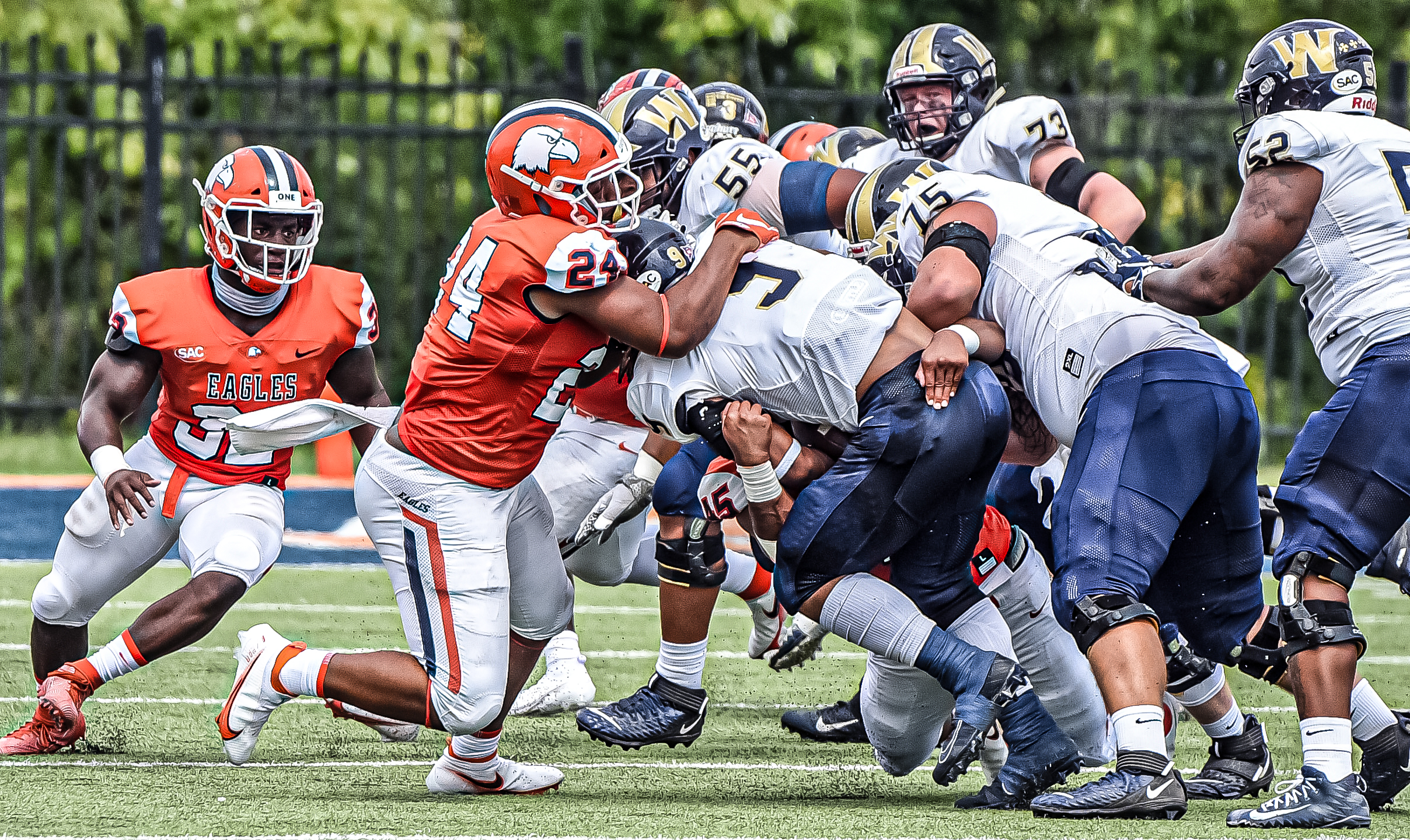 Defense shows improvement, but Eagles fall in 25-3 loss to No. 15 Wingate