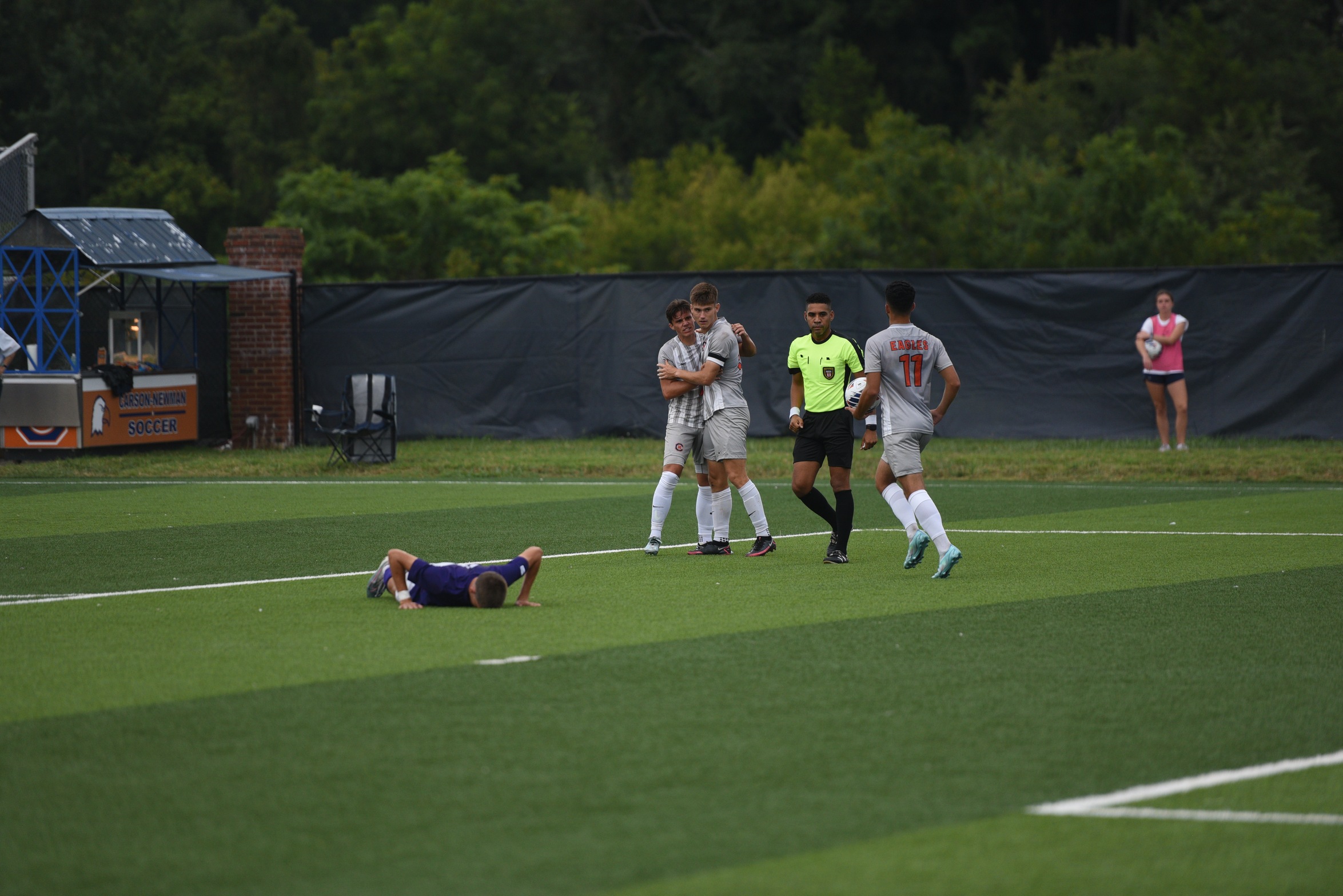 Eagles storm past Mountain Lions