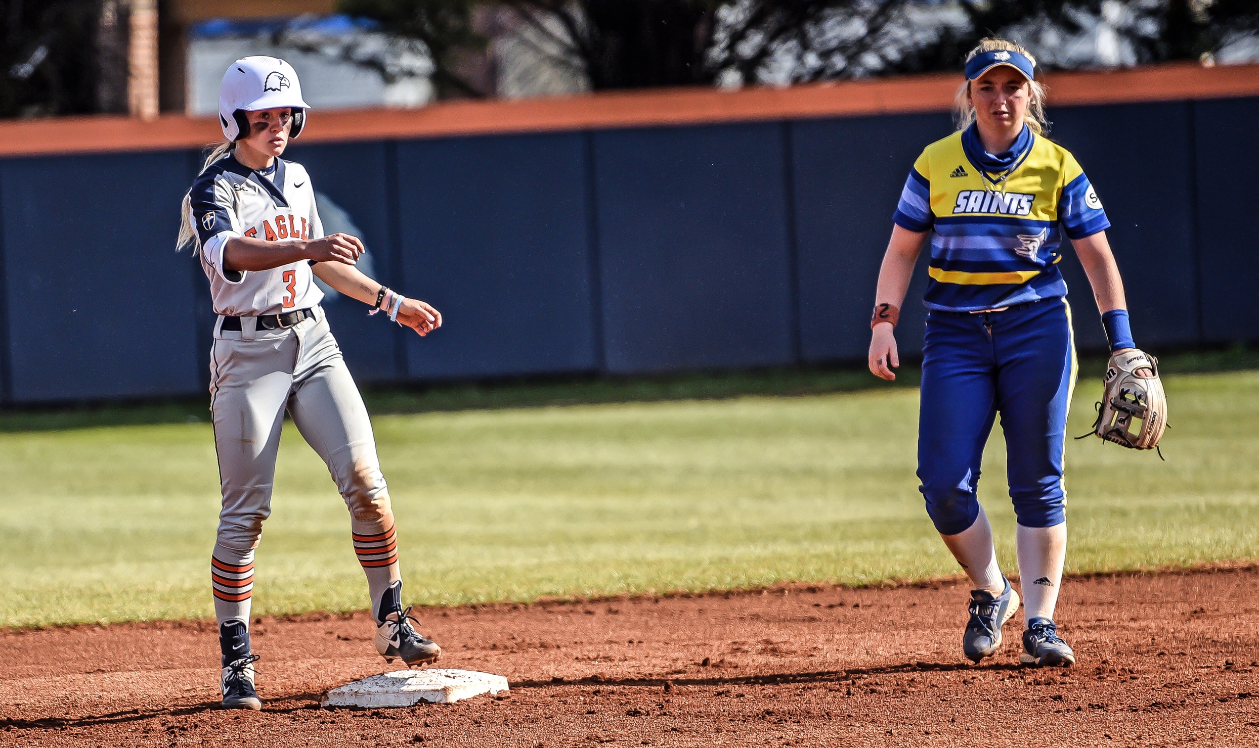 Carson-Newman Softball Position Previews: The Infield