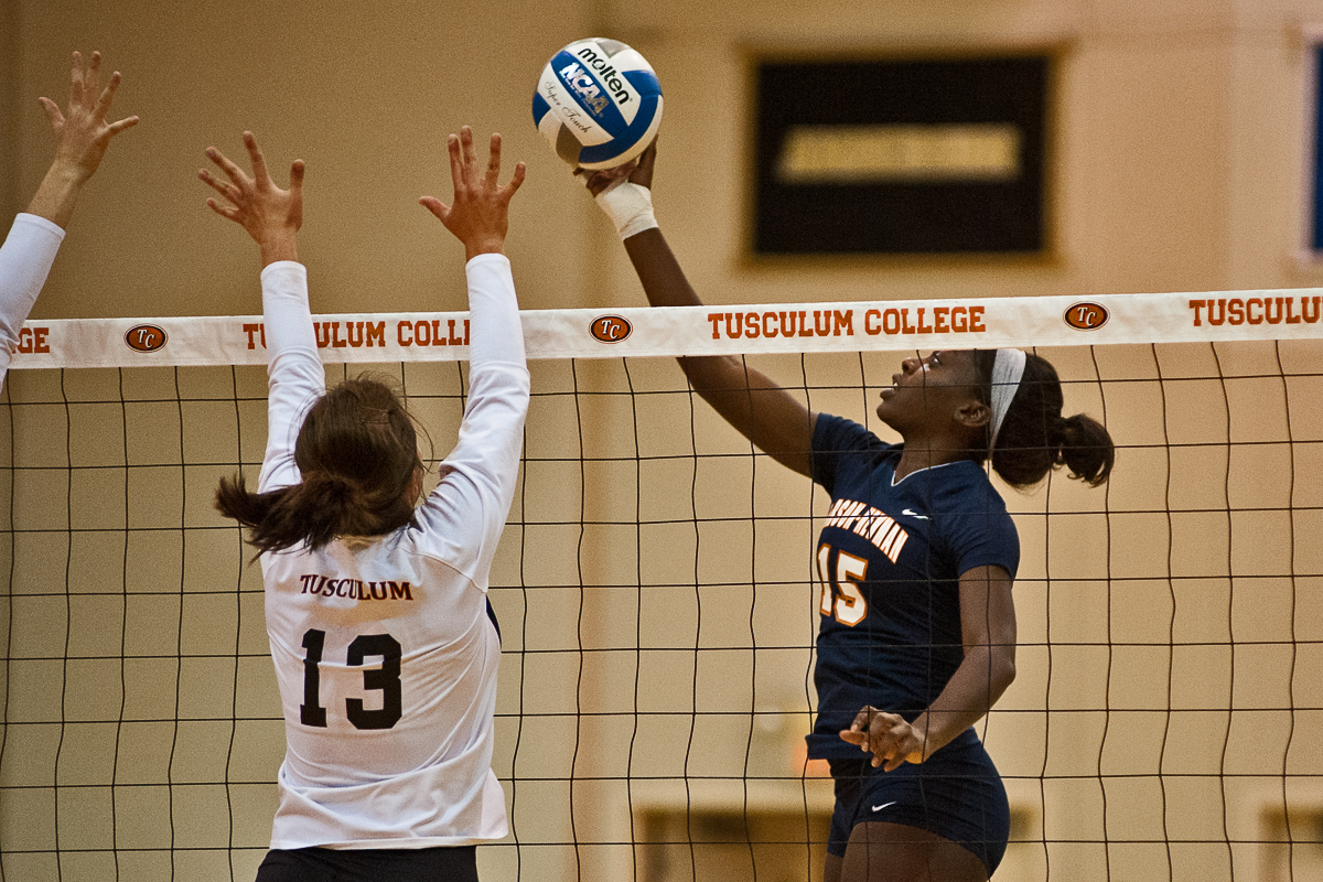 Bears get by Eagle volleyball 3-0