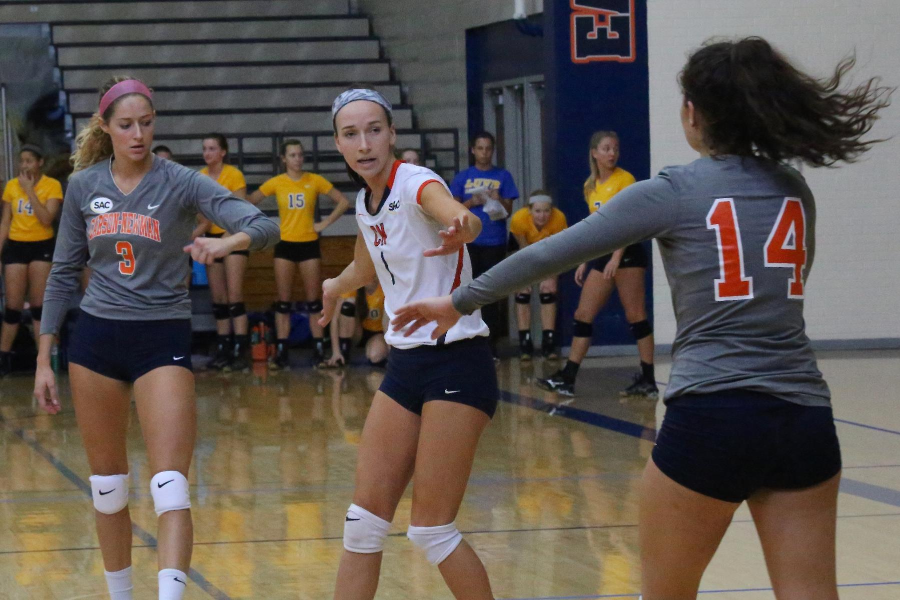 Mini homestand starts with Trojans and Wolves trekking to the Creek