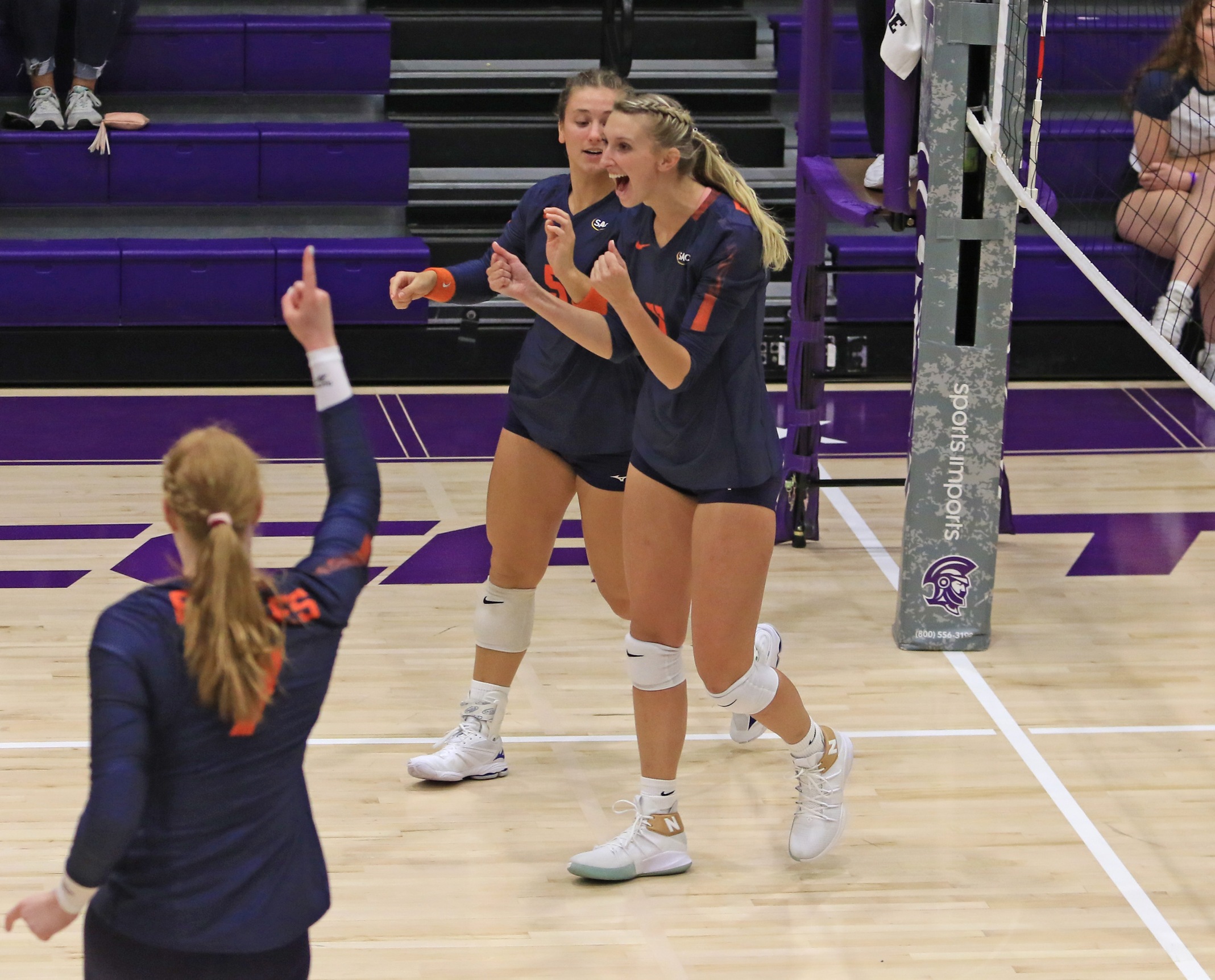 Serving stings Wasps in C-N sweep