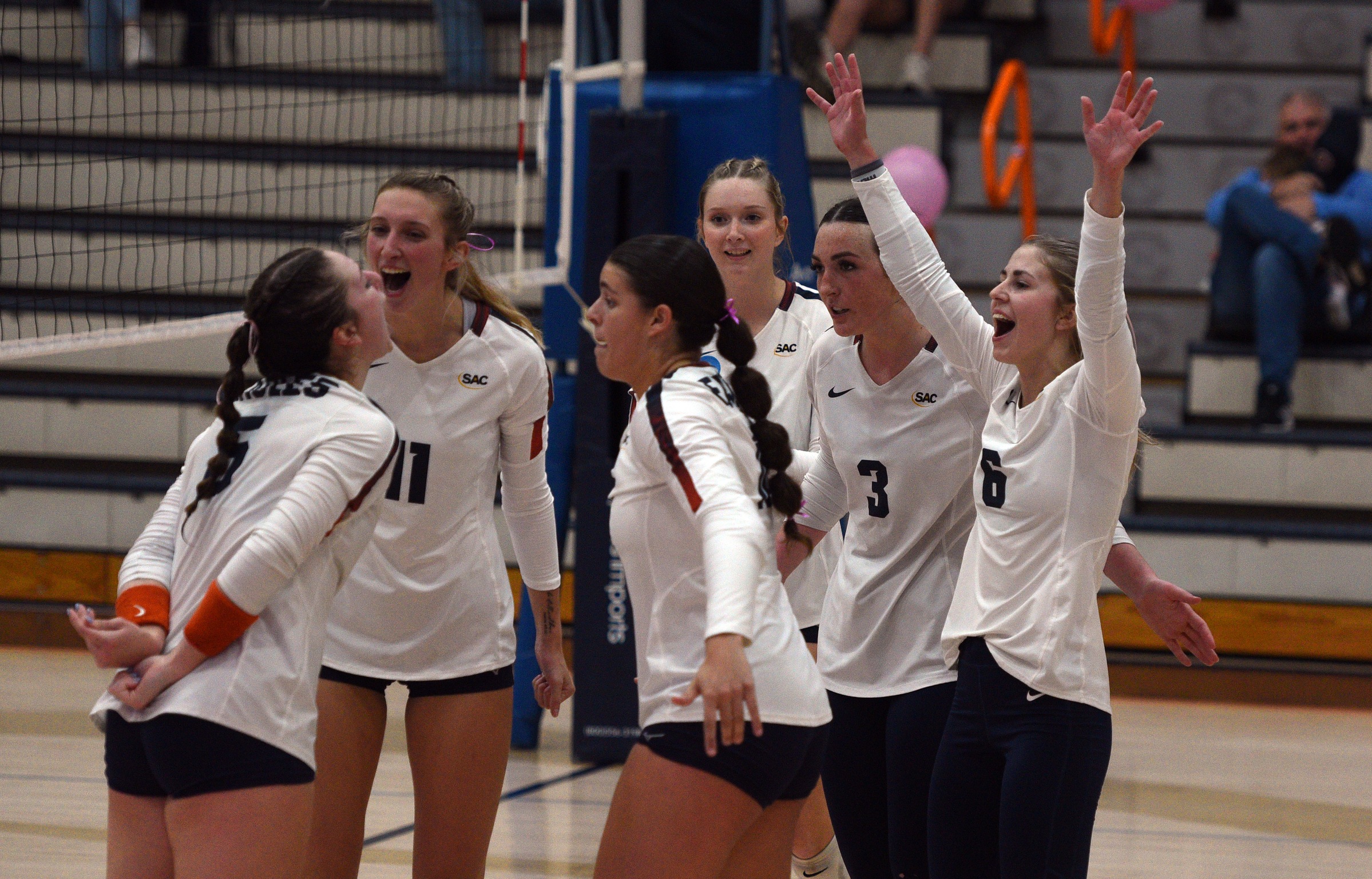 Eagles soar over Wolves at Holt Fieldhouse