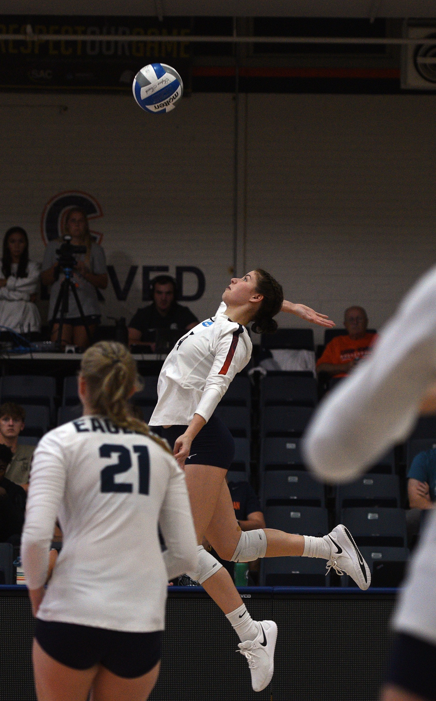 Cavalier fight can&rsquo;t break the sweep