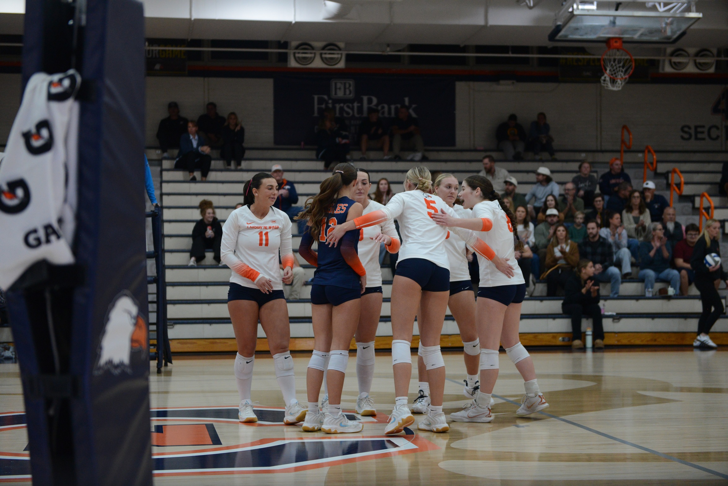 Sweep of Wasps gives volleyball sixth win in a row