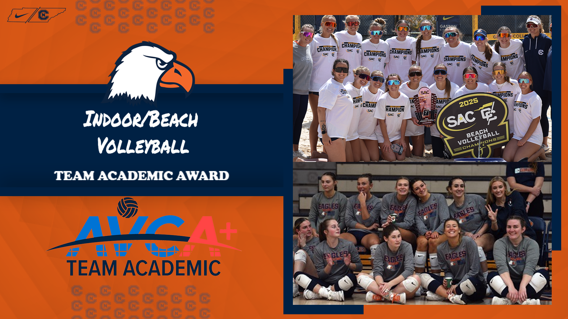 C-N Volleyball Program Earns AVCA Team Academic Award